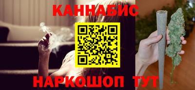 индика Можга