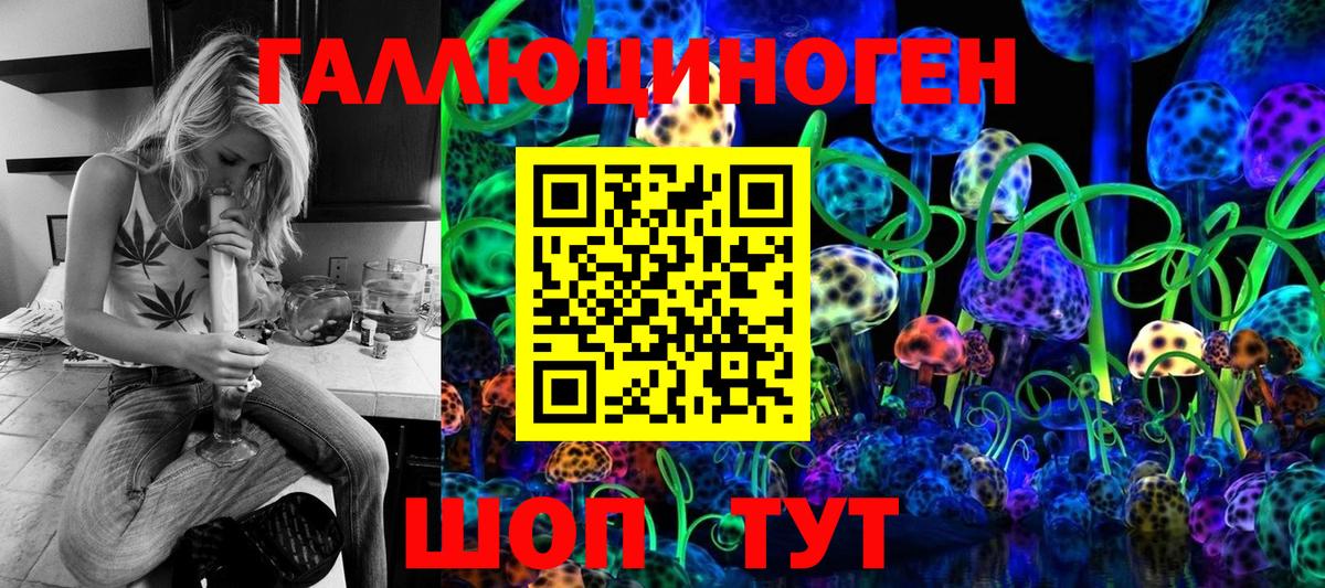 как найти закладки  Вход с VPN  Ялта  Псилоцибиновые грибы GOLDEN TEACHER 