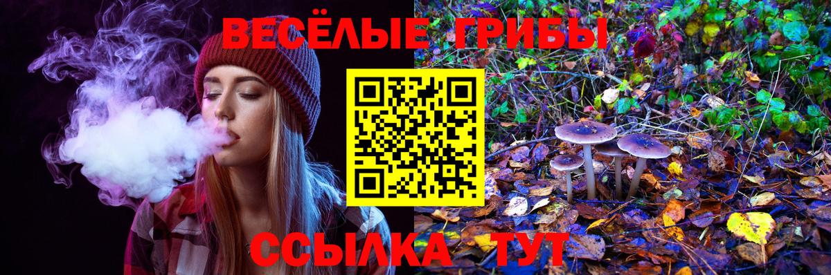 Псилоцибиновые грибы MAGIC MUSHROOMS Ялта
